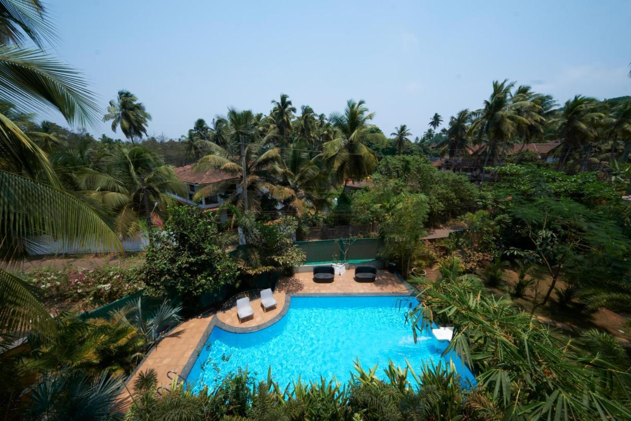 Fig House Anjuna-Chapora Road , Siolim 1Bhk Suite Oxel Esterno foto